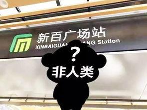 石家庄假食爆料事件视频,揭露食品安全背后的惊人真相  第1张 石家庄假食爆料事件视频,揭露食品安全背后的惊人真相  第1张